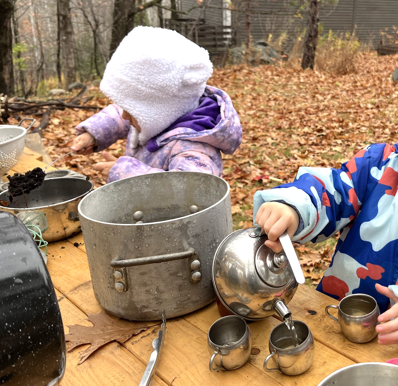 Nature school activity